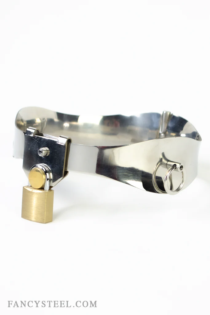 Fancy Steel O-Ring Collar - Image 11