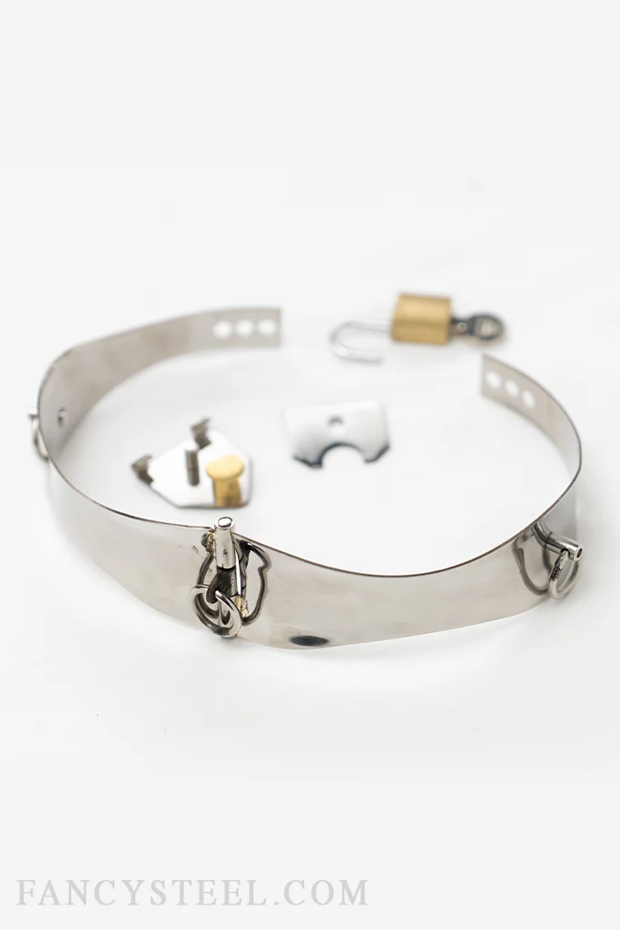 Fancy Steel O-Ring Collar - Image 8