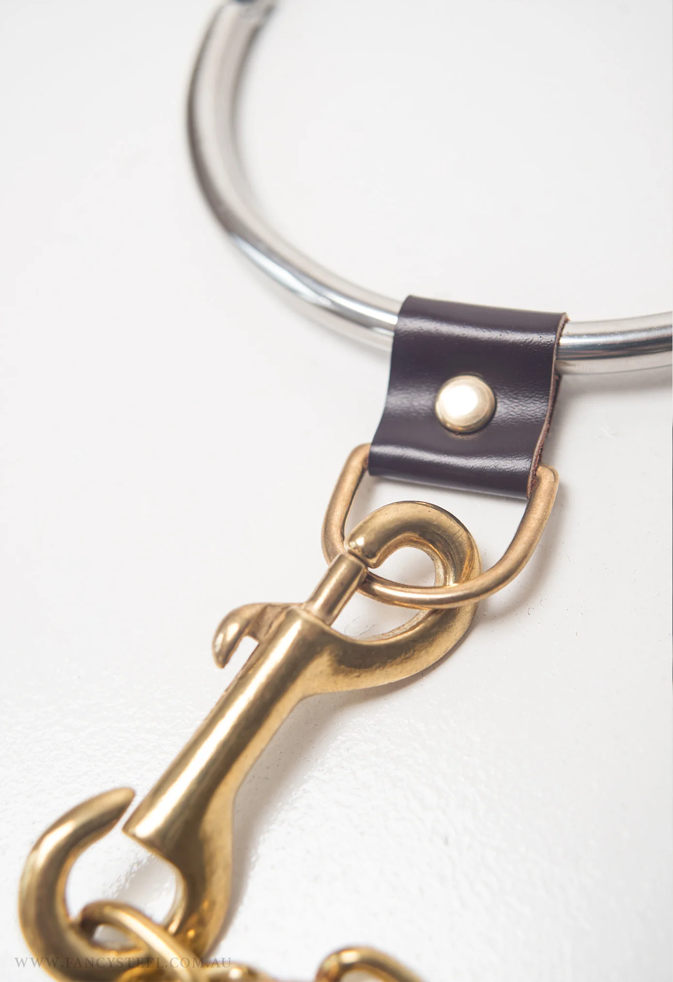 Leash Set - Image 3