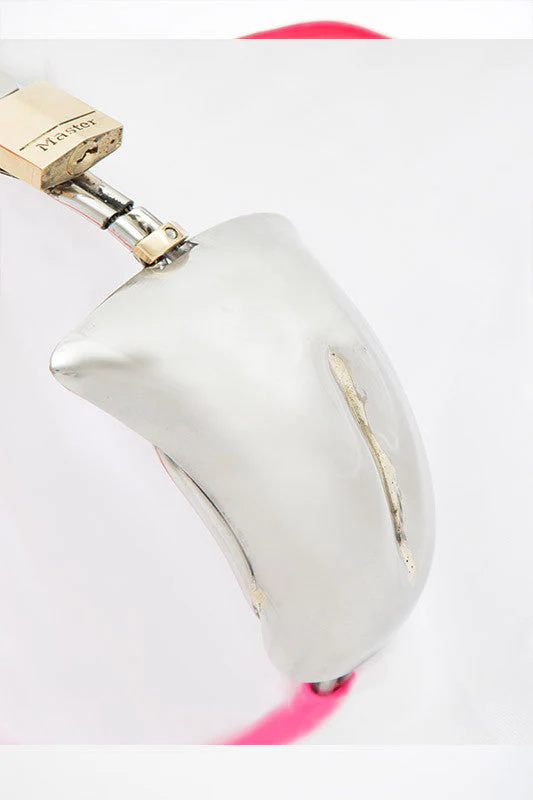 Transgender FS3 Chastity Belt - Image 24